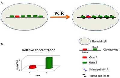 Ultrasensitive Detection of Pathogenic Bacteria by Targeting High Copy Signature Genes